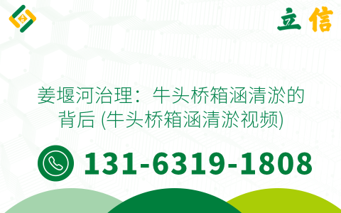 姜堰河治理：牛頭橋箱涵清淤的背后 (牛頭橋箱涵清淤視頻)