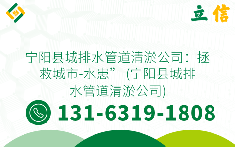 寧陽縣城排水管道清淤公司：拯救城市-水患” (寧陽縣城排水管道清淤公司)